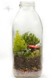 Diy Tea Rrarium Tea Diy Mini Garden Garden Terrarium