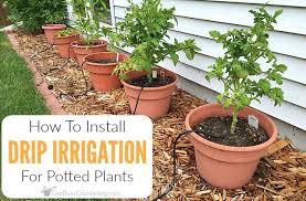 How To Install A Diy Drip Irrigation System For Potted Plants Vertical Vegetable Gardens Drip Irrigation Diy Irrigation System Diy