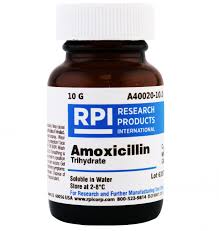 Image result for Amoxicillin