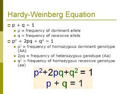 (a) calculate the percentage of heterozygous individuals in the population. Homozygous Dominant Genotype