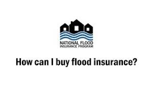 To participate in the national flood insurance program (nfip), communities must adopt and enforce floodplain management regulations that meet or exceed nfip floodplain management requirements. Pinellas County Florida Flood Insurance