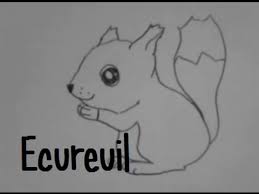 Mais sur cette îles, ces petites. Dessiner Un Ecureuil 3 Youtube