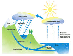 Model Sample Water Cycle Cycle Pictures Cycle