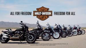 It's the lawless future, and renegade biker harley davidson (mickey rourke) and his surly cowboy buddy, marlboro (don johnson), learn that a corrupt bank is about to foreclose on their friend's bar to further an expanding empire. 2018 Softail Reinvented Harley Davidson Youtube
