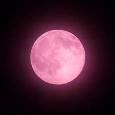 twitter pink moon beautiful moon moon