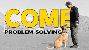 I've no hesitation in recommending total recall to anyone setting out on training a puppy for the first time, or even the it was a good book until that point and more suitable to a dog trainer rather than your average joe who wants to train their pet. How To Teach Your Dog Come When Called Perfect Recall Online Dog Training Video Youtube