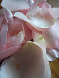 Pot pourri petales de roses. Petales De Roses Pour Pot Pourri La Renarde Des Alpes