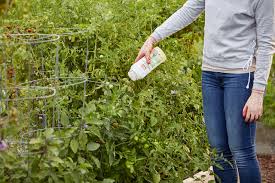 Ortho Home Defense Insect Killer For Lawn & Landscape Concentrate, 32 Oz. -  Walmart.Com