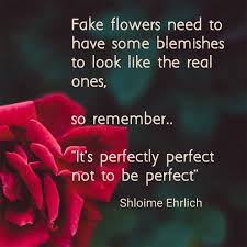 Maybe you would like to learn more about one of these? Pin By Shloime Ehrlich On My Quotes Me Quotes Fake Flowers Quotes