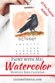 October Bird Of The Month Free Download 12 Backyard Bird Patterns To Watercolor Bird Patterns Creative Nature Journal