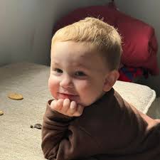 Best carpet cleaner for pet owners?