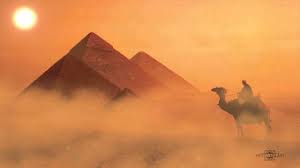 The llama, the alpaca, the guanaco. Overtime Camels Have Adapted To Survive Life In The Desert