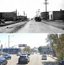 Image result for Reseda