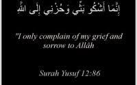 Disini kami akan membagikan murottal surat yusuf dari puluhan qori yang bisa sobat pilih, diantaranya ada juga mp3 al quran dan terjemahannya. Surat Yusuf Mp3