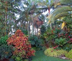 If I Lived In Zone 10 I Would Do This Tropical Garden Design Garden Plants Design Tropical Landscape Design