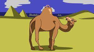 Loading slideshow in 5 seconds. The Straw That Broke The Camel S Back Funny Animation Youtube