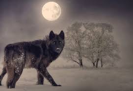 January's full wolf moon reaches peak illumination on thursday, january 28, at 2:18 p.m. Full January Wolf Moon Of 2021 To Shine In The Sky This Week Nj Com