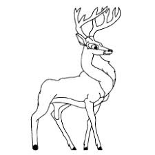This coloring sheet features a sika deer with large antlers turning its head. Top 20 Deer Coloring Pages For Your Little Ones