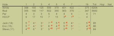 Explaining the tournament format and betting game. Golf Games