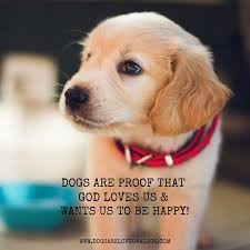 Dog Quote Dogs Are Proof The God Loves Us Dogs Are Love On 4 Legs