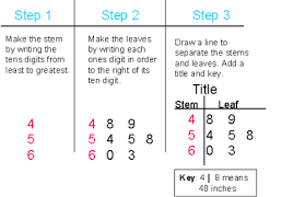 Chapter 7 Flashcards Quizlet