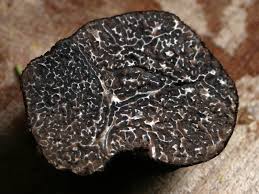With great drainage and, if possible, with a slope. The Biology Behind Prized Pricey Truffles
