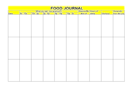 pill schedule template daily medication chart printable for