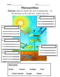 Research urban legends to obtain a concept of. This Is A Simple Worksheet On Photosynthesis I Used My School S Textbook To Photosynthesis Activities Photosynthesis Elementary Science