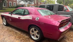 Image result for Furious Fuchsia 2010 Challenger