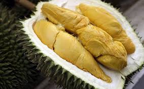 Durian!✅ durian segar dari kebun & terus hantar ke. Kenali 10 Perbezaan Durian Malaysia Pamapedia