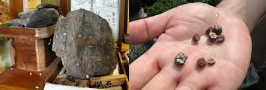 Kyoto Will Rock You: The Fascinating Mineral Culture of Woodland Kyoto