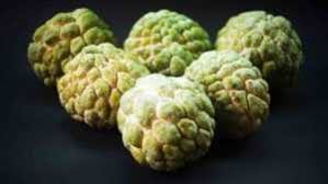 Spoken pronunciation of date in english and in hindi. Custard Apple Meaning In Hindi à¤à¤¸ à¤à¤° à¤¡ à¤à¤ª à¤ªà¤² à¤ à¤¹ à¤¦ à¤à¤° à¤¥ Knowledge Love