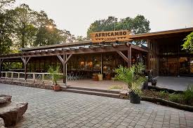 Africambo Lodge Magdeburg Restaurant Bewertungen Telefonnummer Fotos Tripadvisor