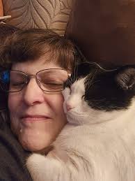 Can I help with home remedies for a cat with UTI symptoms?