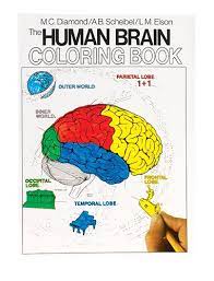 Read 61 reviews from the world's largest community for readers. Biology Coloring Books The Human Brain