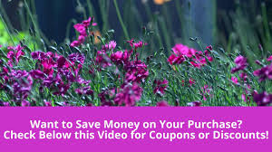 We did not find results for: Nume Coupon Code 2018 70 Off Nume Discount Code 2018 Or Nume Promo Code 2018 Youtube