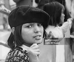 114 Anti War Rally Denver Stock Photos, High-Res Pictures, and Images