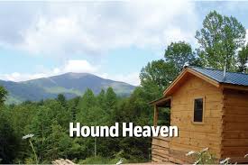 Some rental properties in asheville may also charge monthly pet rent. Pet Friendly Nc Mountain Cabins Dogs Welcome