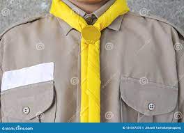 童子军，制服，黄色围巾，棕色衬衣，学生穿的服装库存图片. 图片包括有象征, 侦察, 服装, 衣裳- 131567375