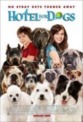 Film Izle Hd Film Izle Sinema Izle Sinema Film Kopek