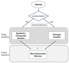 materials free full text biological scaffolds for