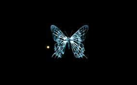 Oops That Page Was Not Found Fangirlconfessions Com Fringe Butterfly Black Background Images