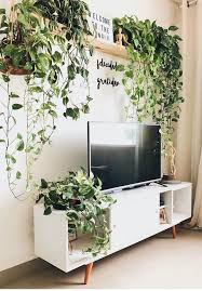 Pin By Jenifer Rodriguez On Ideas For The House Living Room Plants House Plants Decor Home Decor