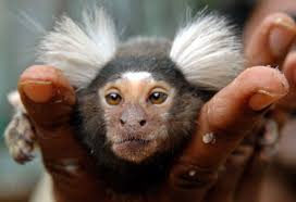 Nyheder og seneste nyt fra Berlingske