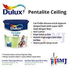 Selain itu, harga plafon gypsum juga termasuk murah di pasaran. Cat Plafon Gypsum Dulux Pentalite Ceiling Warna Putih Kemasan 5 Kg Shopee Indonesia