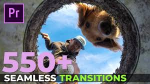 In my opinion, it is one of the best video editing applications and has the widest range of features. 750 Motion Graphics Pack Adobe Premiere Rush And New 2019 Templates Mogrt Updates Youtube