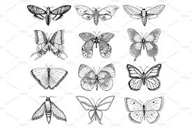 Black And White Striped Butterfly Uk Tattoo Or Boho T Shirt Or Scrapbooking Design Mystical Esoteric Symbol Of Freedom And Travel Butterfly Or Insect Sketch Entomological Collection Engraved Ha Butterfly Wallpaper Graphic Wallpaper Nature Sketch