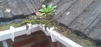 Gutter cleaning costs do vary across different parts of the uk. Gutter Cleaning Cost Updated Prices For 2021