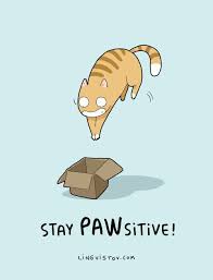 Cat puns are just puns with a cat theme. Lingvistov Com Crazy Cats Cat Puns Cat Quotes Cats And Kittens