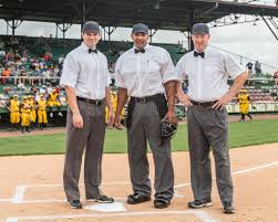 Image result for umpire